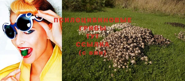 стафф Верея