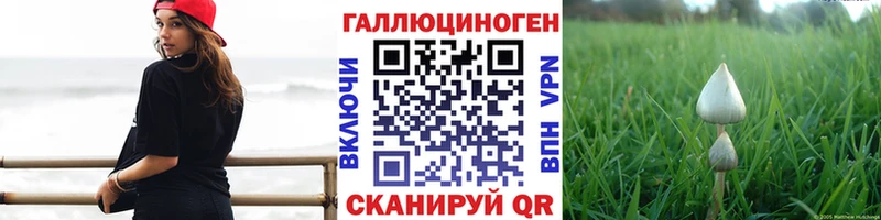 где найти   Володарск  Галлюциногенные грибы прущие грибы 